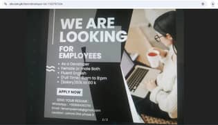 developers