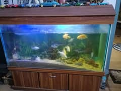 5.5 feet aqurium with fishes and nano aquarium