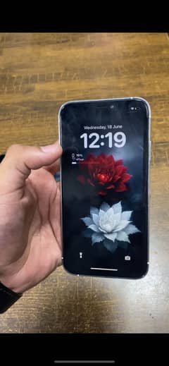 iPhone