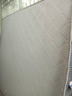 diamond supreme foam