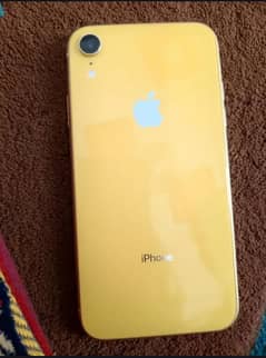 iPhone XR