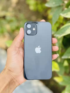 iPhone 12non pta battery 92% gb64 water pak