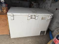 Waves D freezer double door