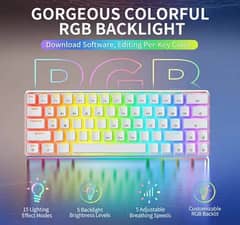 TK63 Pro Full White Colour Gaming Full RGB Keyboard Stock Available