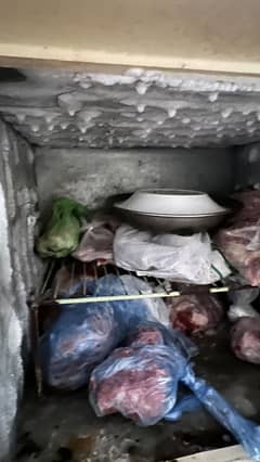 Dowlance frige used