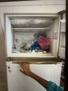 Dawlance freezers