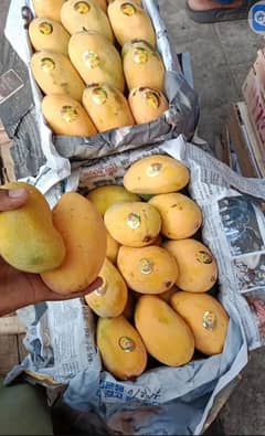 fruits & vegetable