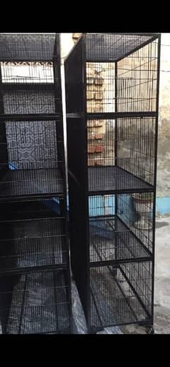Cages for birds, Parrots and hens