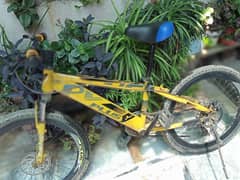 MTB