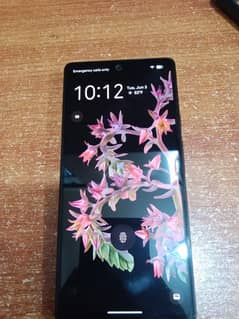 Goole pixel 6 ( non-pta)