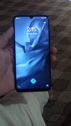 vivo