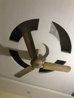 Celling