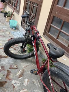 Fat tyre mountain bicycle