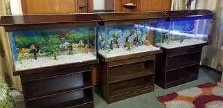 Fish Aquarium