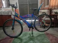 Morgan cycle for sale size