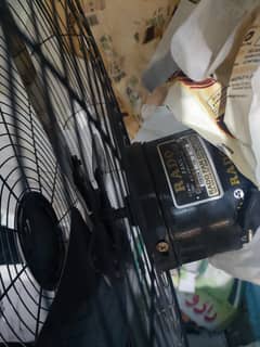 Rado fan new untouch