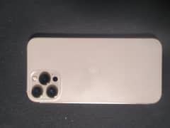 Apple 12 pro max