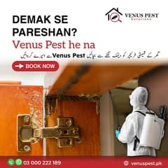 Termite Control/deemak control/Pest control service/Mosquitoes spray