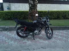 ybr