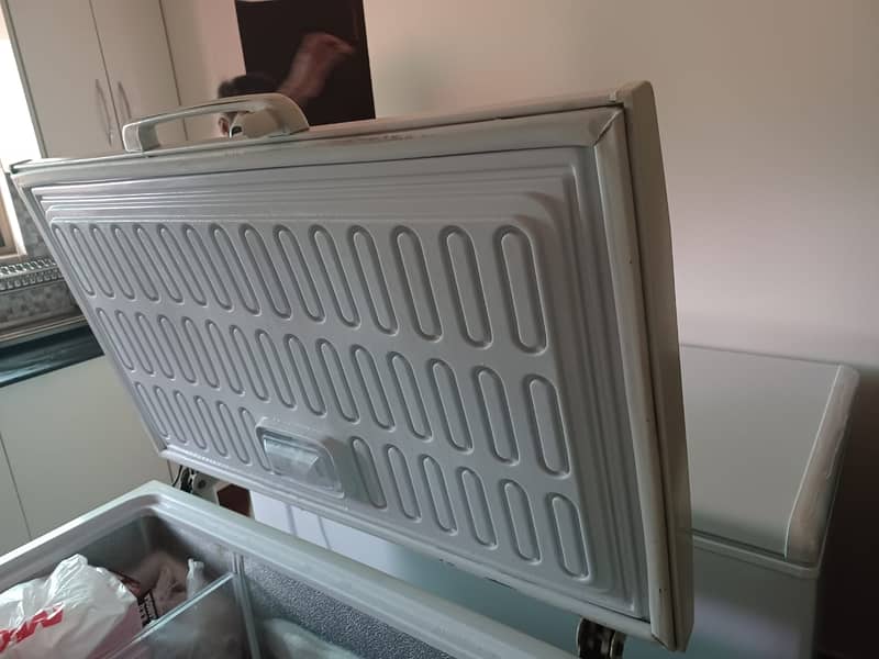 Waves deep freezer, in good running condition.  Rating 8. 9