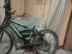 Cycle