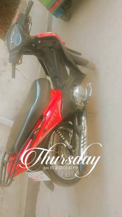 SCOOTEY