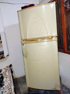 Medium size fridge
