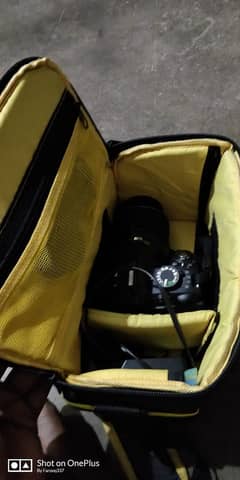 nikon D3100