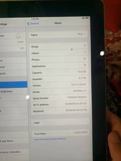 iPad mini 2
