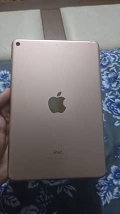 Ipad mini 5