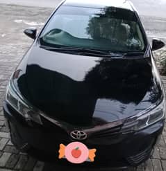 Corolla Gli 2018/19  (0300-6901066)