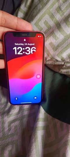 iphone 12 mini