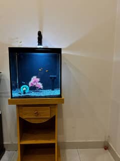 fish aquarium for sell