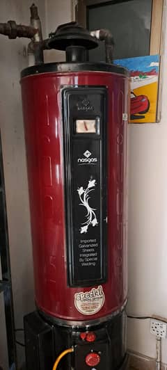 Nasgas Geyser good condition  35L
