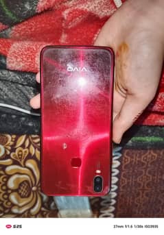 vivo