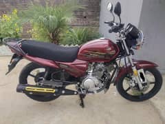 yamaha ybz dx 2021
