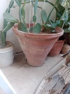 4 pots Big size for sell