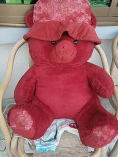 Used ready Brear On Sale 10% oFF