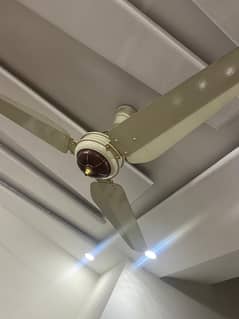 Breeze Fan