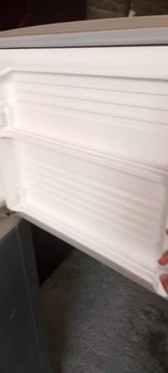 Dawlence Fridge