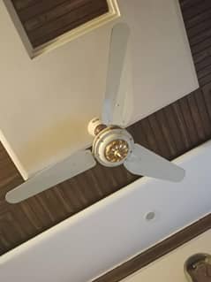 GFC ceiling fans