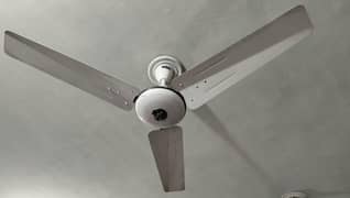Pak Fan ceiling fans 3 fans excellent condition