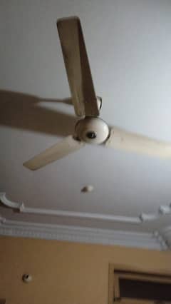 used fan