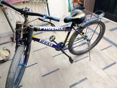 bicycle