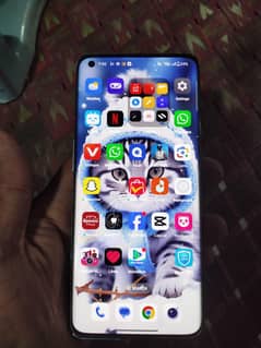 oneplus