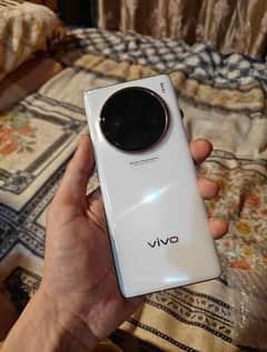 vivo