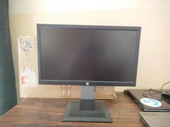 HP P204V 19.5-inch Monitor