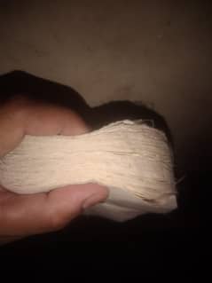 polishing wheel buff