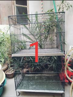 parrot cage/pingra