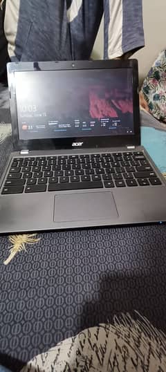 Acer